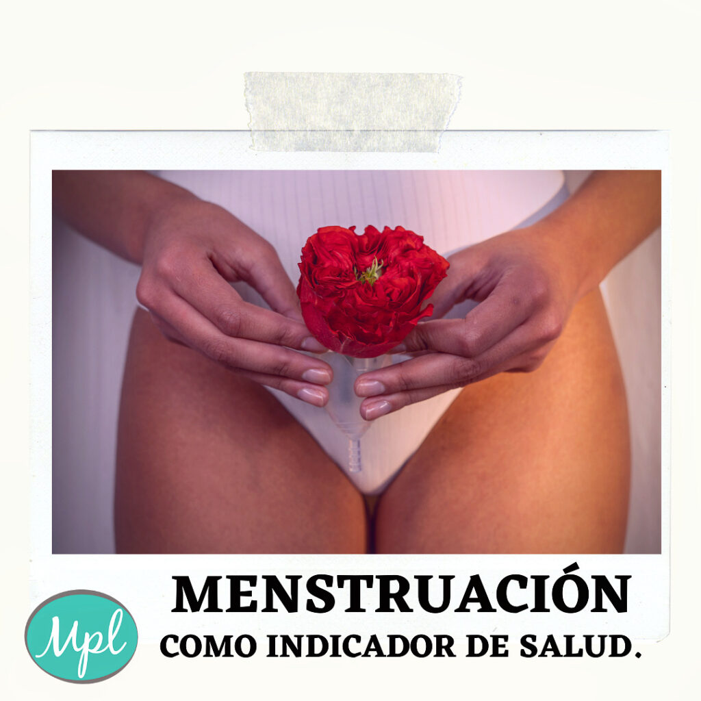 menstruacion